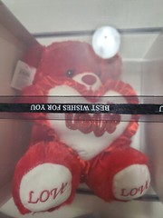 Love Teddy Bear in a Gift Clear Box 10 inch x 10 inch Valentines Day or Misc.