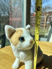 Real Cat Plush Doll Stuffed 10″ Tabby Cat Plush Toy White Yellow Blue Brown Eyes