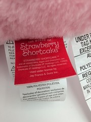 Hobby Lobby Strawberry Shortcake Pink Embroidered Plush Pillow EUC