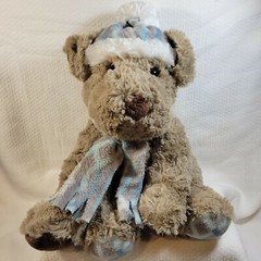 St Jude Gentle Treasures Plush Stuffed Puppy Dog Brown With Blue Hat Scarf 2019