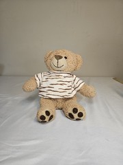 Imagine Nation Teddy Bear Plush Brown Stuffed Tan Stripe Shirt 11” Imagination