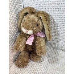 Cottagecore Kids Chosun International Plush Bunny Rabbit Small Brown Pink