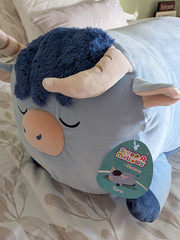 Squishmallows Sleepamallows Toro the Light Blue Highland Cow 18″ New