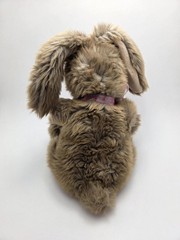 Gund Nutmeg Bunny Rabbit Brown Gray Tan with Blue Eyes Pink Nose Bow (10 inch)