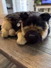 Perfect Petzzz Dog 10 Inch Black And Brown Sleeping Puppy German Shepard WORKS