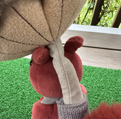 Jellycat Fungi Forager Squirrel Plush Red Stuffed Mushroom Backpack FNG2S Used