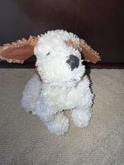 Kohls Cares Raggedy Puppy Dog Plush Rags White Brown Red Collar