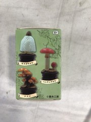 Qualia Kinoko Rittai Zukan Mushroom Garden Blind Box Collectible Figurine 6pk