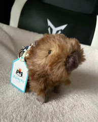 Clyde Capybara Bag Charm – Jellycat Plush Keychain – Soft Toy Gift – NWT Cute