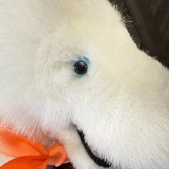 Vintage DAKIN Realistic White Husky Dog Stuffed Animal Plush Samoyed 1970s LARGE