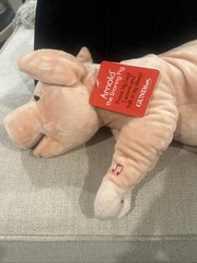 Gund Fun Arnold the Snoring Pig Plush 060579 Tan Stuffed Animal 2009 Tags