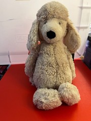 Jellycat 13” Bashful Poodle Dog Plush Toy Biege Colour