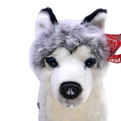 Large Vintage Fiesta Sitting Husky Wolf Gorgeous blue eyes 17″ 1998