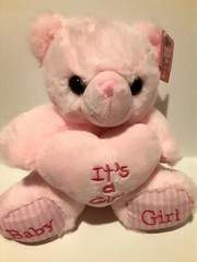 8″ Baby Shower Teddy Bear Plush PINK It’s a GIRL Baby Shower Gift NWT Plush Doll