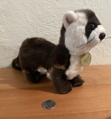 Aurora – Miyoni – 8″ Ferret plushie stuffed animal 2021 Realistic Small Plush