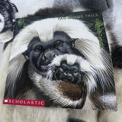 Animal Magic Cotton Top Tamarin Plush 16″ Tag Along Tails Scholastic Toy + Tag