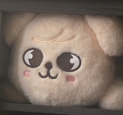 Stray Kids SKZOO Teddy Laying Plush PuppyM