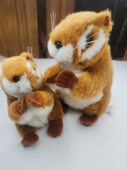 Eastern Chipmunk Realistic Plush 9 Abd 6 Inch 2ea Smithsonian 1998 Stuffed Toy