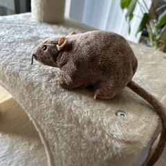 Mouse Rat 6 inch Stuffed Animal Plush Toys Toddler Doll Kids Gifts PL
