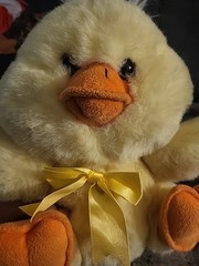 Vtg GUND Easter Mini Beanny Duck Plush Stuffed Duckling Yellow, Soft, Washable