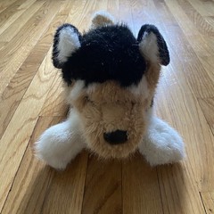 Douglas Cuddle Toys Moses Terrier Mix Dog 2447 19″ Plush
