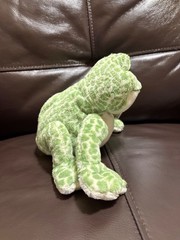 Webkinz Spotted Frog Retired HM142 Brand New With Sealed Code
