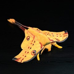 40CM Realistic Comet Tail Moth Plush Toy Stuffed Animal Collectible Insect Gift