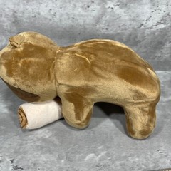 Sloth Plush Follow Your Legends ” Adopt A Sloth ” With Carrier 8in X 4.5in