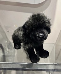 Douglas Cuddle Toys Johnson Newfoundland Dog Plush 539J Stuffed Animal Rare