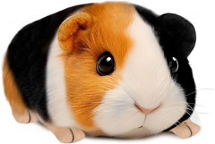 Guinea Pig Stuffed Animal, Cute Guinea Pig Plush for Kids, Realistic Stuffed