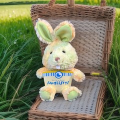 Build-A-Bear Smallfrys Citrus Bunny Plush 7in Bunny Plush 2012 Retired