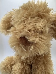 Gund 10″ Designer Pups Nayla Shaggy Tan Cockapoo Puppy Dog Plush Stuffed Animal