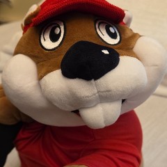 Buc-ee’s Mascot Beaver Plush Stuffed Animal w/ Red Shirt & Cap Brown/Red NWT