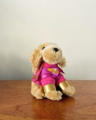Collection DISNEY BUDDIES plush toys, costumes and carrying case