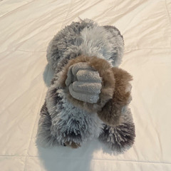 Gray & Brown Bunny Rabbit Plush Stuffed w/ Long Ears, Small 6-14 in Dog Toy