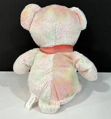Golden Bear Co Pink and Green Teddy Bear Plush Stuffed Animal Toy 13″