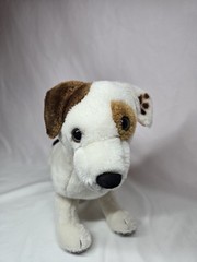 Vintage 1996 Wishbone Jack Russell Terrier Plush Dog PBS TV Show- No Collar