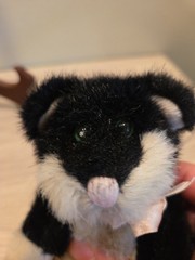 BOYDS Collection Plush Black White 10 in Cat #1364 Articulated J B Bean Series