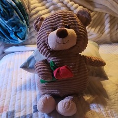Brown Teddy Bear Plush Stuffed Animal Holding Red Rose Beige Red Green