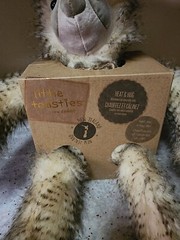 NEW Little Toasties New Zealand Sloth Heat & Hug Plush. Fuzzy Plush Sloth