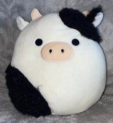 Spring Fuzzy Connor Cow Squishmallow 8inch with Bio Tag (SEE DESCRIPTION)