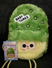 New! Baby Three Crossbody Bag – Pickle Bag w/Removable Strap & Card
