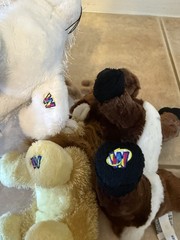 GANZ Webkinz Lot of 4 Seal, Reindeer, Polar Bear & Lil’ Kinz Lion