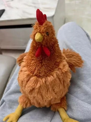 Cecil the Chicken Plush Toy – Super Soft & Cuddly Stuffed Animal