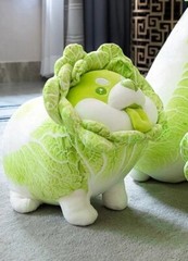 Cabbage Shiba Inu Dog 17″ Vegetable Pillow Stuffed Animal Plush Toys Doll Kids