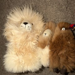Shupaca Baby Alpaca Stuffed Animal Lion +Small Lion+ Alpaca 100% Alpaca Lot Of 3