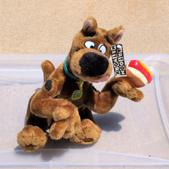 Scooby-Doo With Hotdog Plush Dog Small 1998 w/ Tags Vintage Cartoon Network