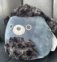 Squishmallow Jettward Black Poodle HARD TO FIND NWT 7.5″ Stuffed Plush Animal