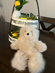 Alpaca International Alpaca Bear Plush Bear White Small 6-14 in Washable 10454