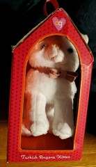 Our Generation Posable Turkish Angora Kitten 6″ Pet Cat Plush Limited Release